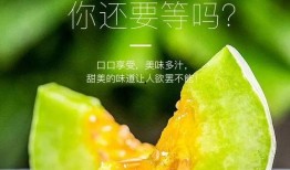 可以吃所有网红的瓜,揭秘全网热门事件背后的真相